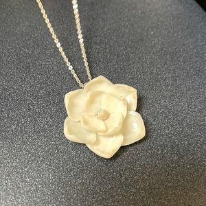 Beautiful shell silver necklace. Worn once